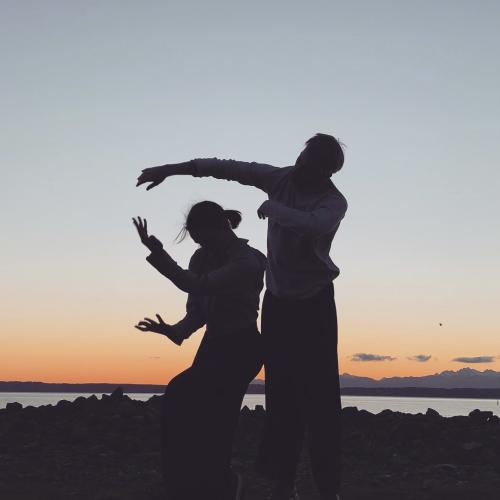 an image of two dancers shadows against the sunset sky