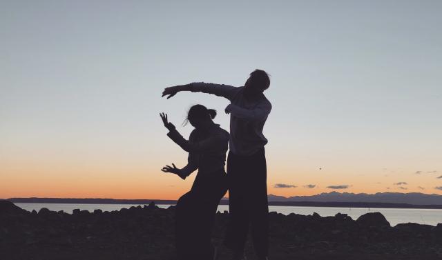 an image of two dancers shadows against the sunset sky